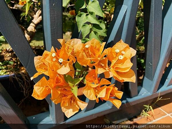 244427405_413279590158231_11111153423312037_n