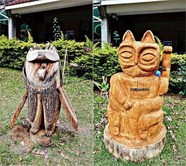 DSC03638-horz DSC03638-horz