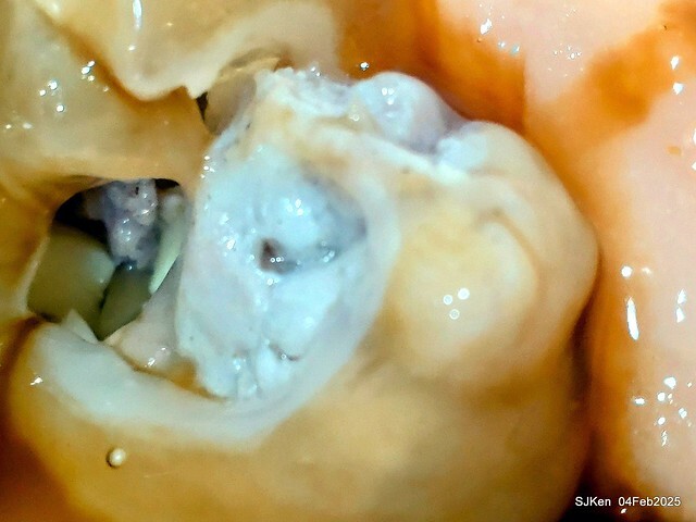 北投石牌蕭記大餛飩肉圓與魚丸湯(Meat ball and fish ball soup at Hsiao's ravioli shop),Taipei, Taiwan, SJKen, Feb 5, 2025 北投石牌蕭記大餛飩肉圓與魚丸湯(Meat ball and fish ball soup at Hsiao's ravioli shop),Taipei, Taiwan, SJKen, Feb 5, 2025