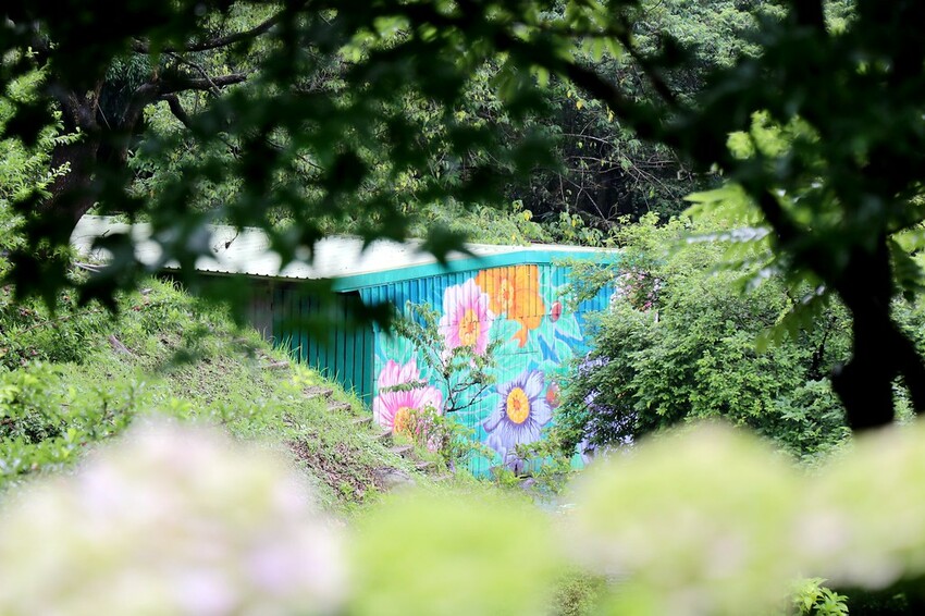 隱身山林中的童話小屋,和人一樣高的繡球花田盛開中.異國風料理好拍又好吃.桃園復興景觀餐廳/特色渡假民宿推