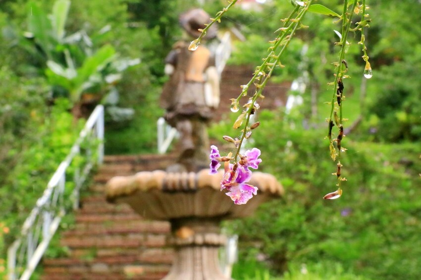隱身山林中的童話小屋,和人一樣高的繡球花田盛開中.異國風料理好拍又好吃.桃園復興景觀餐廳/特色渡假民宿推
