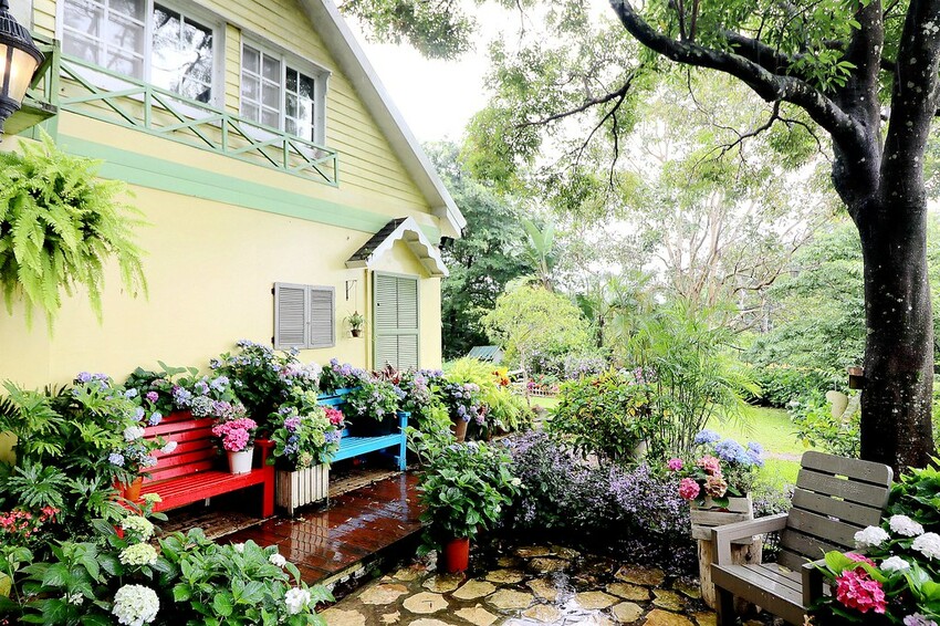 隱身山林中的童話小屋,和人一樣高的繡球花田盛開中.異國風料理好拍又好吃.桃園復興景觀餐廳/特色渡假民宿推