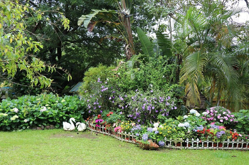 隱身山林中的童話小屋,和人一樣高的繡球花田盛開中.異國風料理好拍又好吃.桃園復興景觀餐廳/特色渡假民宿推
