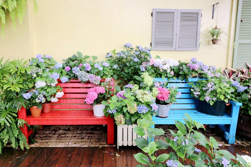 隱身山林中的童話小屋,和人一樣高的繡球花田盛開中.異國風料理好拍又好吃.桃園復興景觀餐廳/特色渡假民宿推