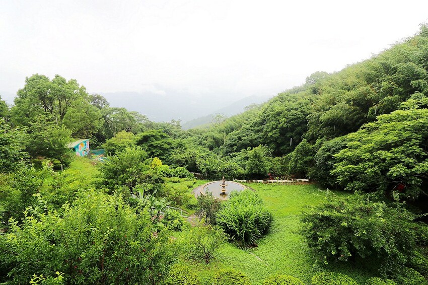 隱身山林中的童話小屋,和人一樣高的繡球花田盛開中.異國風料理好拍又好吃.桃園復興景觀餐廳/特色渡假民宿推