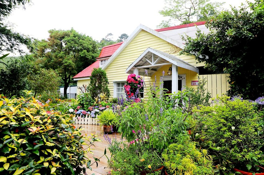 隱身山林中的童話小屋,和人一樣高的繡球花田盛開中.異國風料理好拍又好吃.桃園復興景觀餐廳/特色渡假民宿推