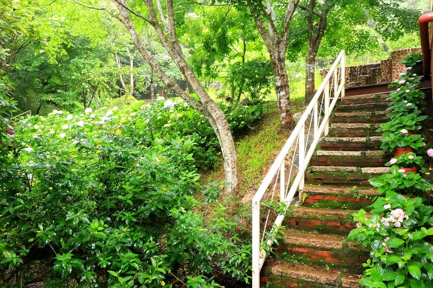 隱身山林中的童話小屋,和人一樣高的繡球花田盛開中.異國風料理好拍又好吃.桃園復興景觀餐廳/特色渡假民宿推