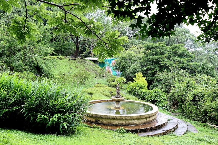 隱身山林中的童話小屋,和人一樣高的繡球花田盛開中.異國風料理好拍又好吃.桃園復興景觀餐廳/特色渡假民宿推
