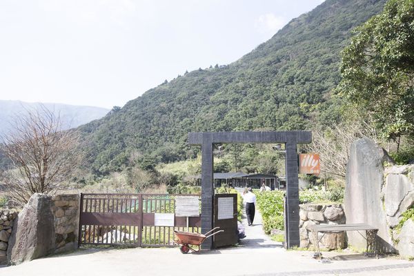 竹子湖綠山谷咖啡廳 - 19