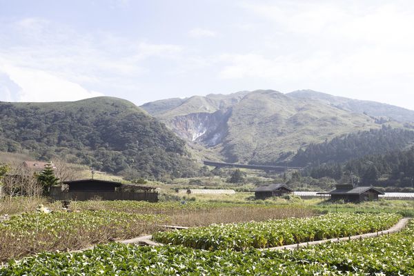 竹子湖綠山谷咖啡廳 - 21