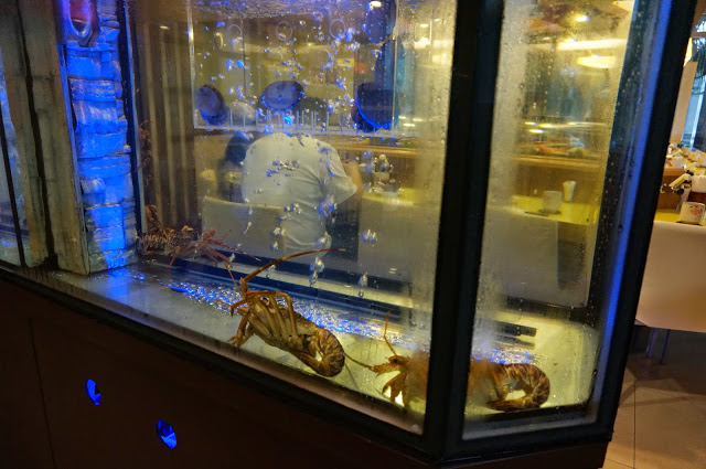 【台北】高樂餐飲:滿足而豐盛的複合式鐵板料理-口碑體驗