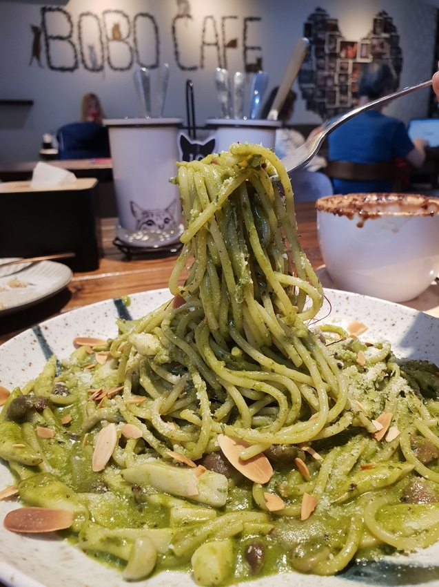 【新北.五股】觀音山硬漢嶺+bobo豹豹咖啡森林館內有多隻店貓