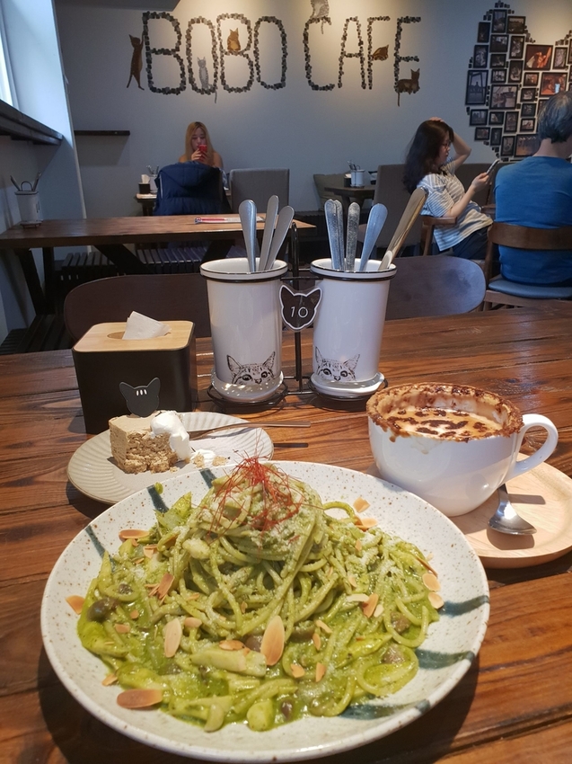 【新北.五股】觀音山硬漢嶺+bobo豹豹咖啡森林館內有多隻店貓