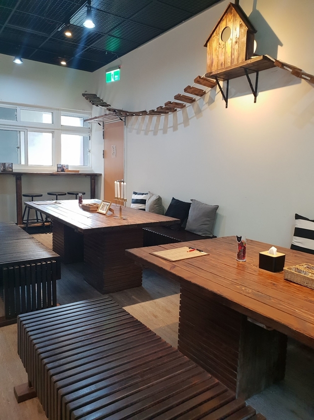 【新北.五股】觀音山硬漢嶺+bobo豹豹咖啡森林館內有多隻店貓