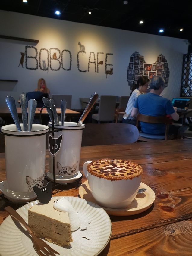 【新北.五股】觀音山硬漢嶺+bobo豹豹咖啡森林館內有多隻店貓