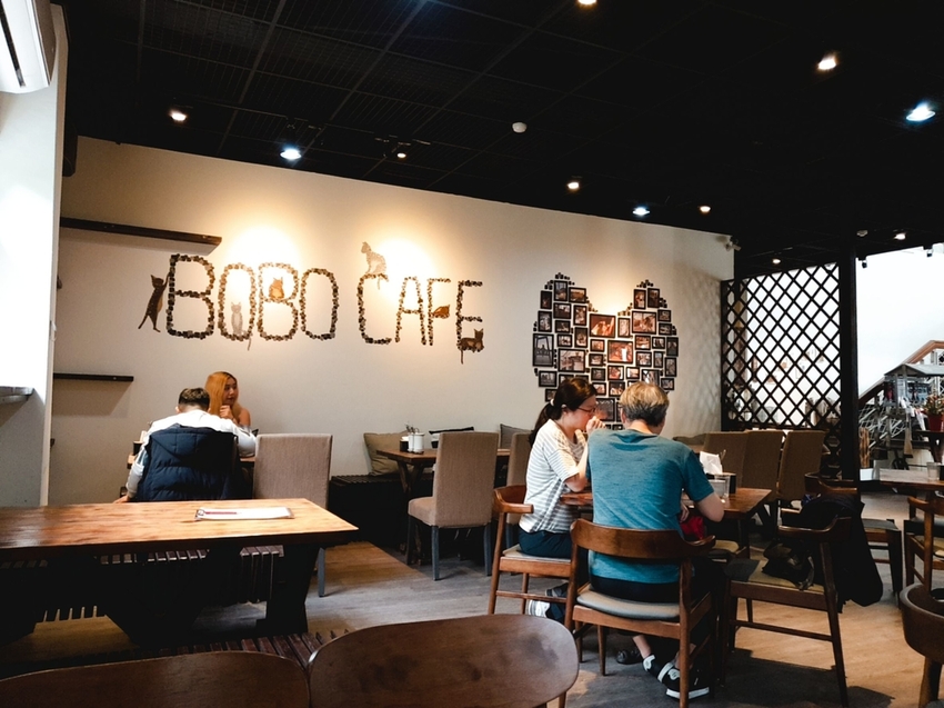 【新北.五股】觀音山硬漢嶺+bobo豹豹咖啡森林館內有多隻店貓
