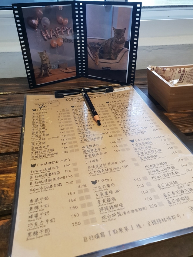 【新北.五股】觀音山硬漢嶺+bobo豹豹咖啡森林館內有多隻店貓