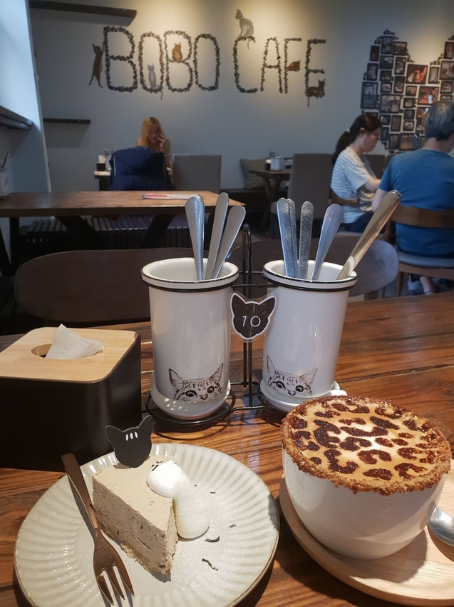 【新北.五股】觀音山硬漢嶺+bobo豹豹咖啡森林館內有多隻店貓