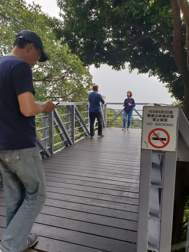 【新北.五股】觀音山硬漢嶺+bobo豹豹咖啡森林館內有多隻店貓