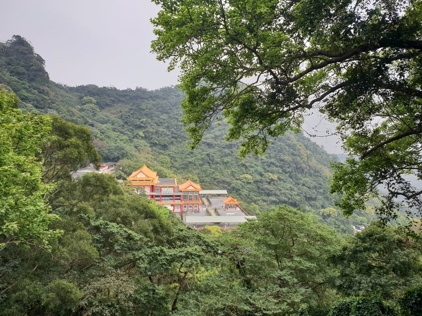 【新北.五股】觀音山硬漢嶺+bobo豹豹咖啡森林館內有多隻店貓