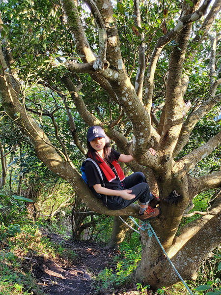 【飛與行的記憶】國內︱新北：台灣百大必訪步道ㄧ硬漢嶺步道