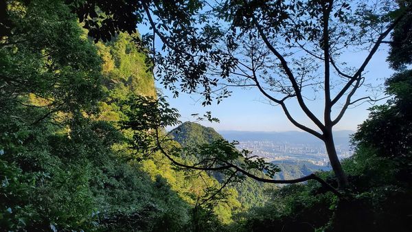 【飛與行的記憶】國內︱新北：台灣百大必訪步道ㄧ硬漢嶺步道