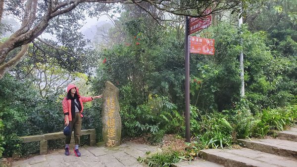 【飛與行的記憶】國內︱新北：台灣百大必訪步道ㄧ硬漢嶺步道