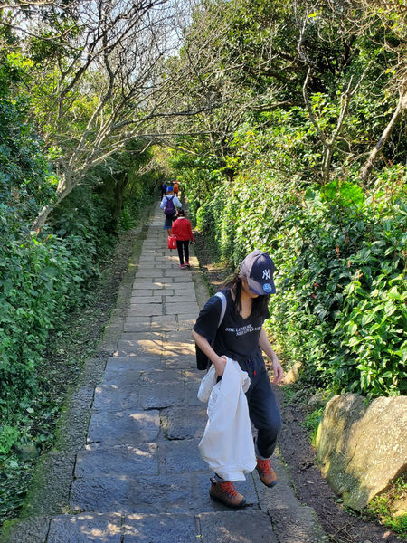 【飛與行的記憶】國內︱新北：台灣百大必訪步道ㄧ硬漢嶺步道