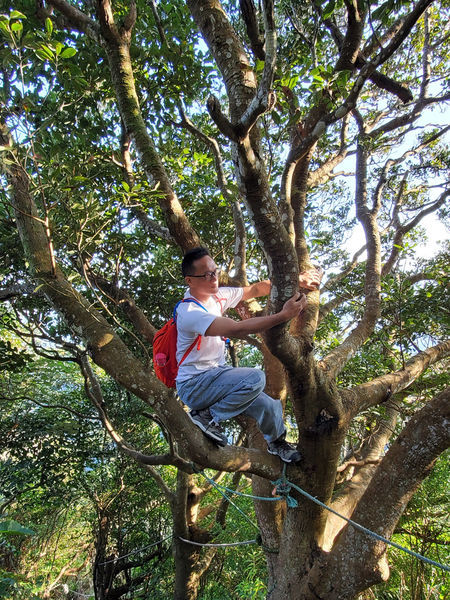【飛與行的記憶】國內︱新北：台灣百大必訪步道ㄧ硬漢嶺步道