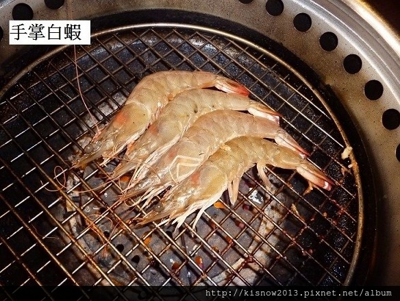 厲害43-白蝦.JPG