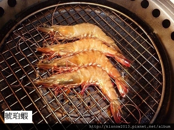 厲害39-琥珀蝦.JPG