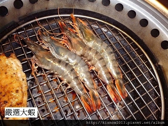 厲害37-大蝦.JPG