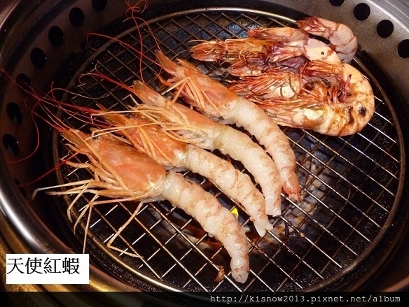 厲害41-天使紅蝦.JPG
