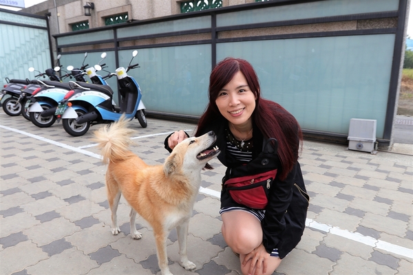 鹿港童年往事之懷舊柑仔店：【彰化鹿港景點)】童年往事莊園民宿~50-60年代復古餐廳，懷舊莊園民宿 回味童趣，滿滿兒時回憶