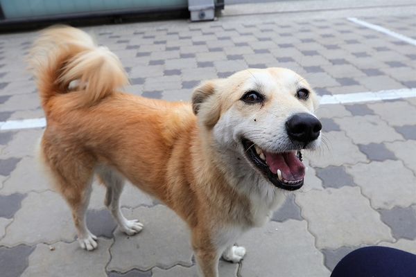 鹿港童年往事之懷舊柑仔店：【彰化鹿港景點)】童年往事莊園民宿~50-60年代復古餐廳，懷舊莊園民宿 回味童趣，滿滿兒時回憶