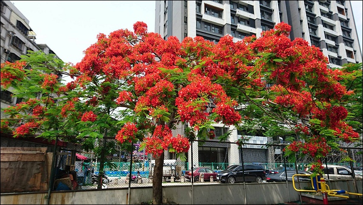 FB臉書社團瘋狂洗版的中和三角舖鴛鴦分享杯奶茶 vs 大台北首家投幣式鮮奶茶販賣機的艋舺冬瓜堂茶飲