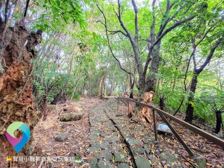 [旅遊]台北的世外桃源 漫步山林 泡湯 賞景 陽明溫泉渡假村
