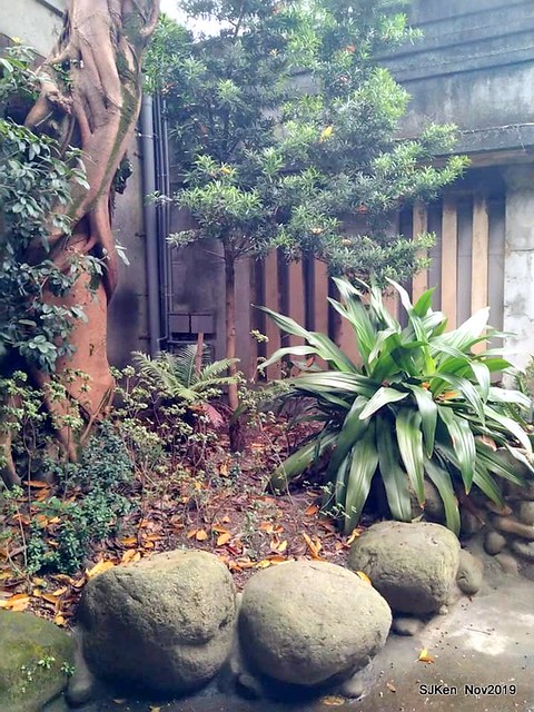 Tea & desserts of the Tea House at Huashan creative park, Taipei, Taiwan, Nov 30, 2019