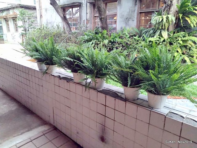 Tea & desserts of the Tea House at Huashan creative park, Taipei, Taiwan, Nov 30, 2019