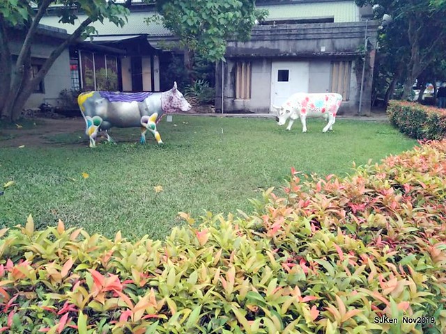 Tea & desserts of the Tea House at Huashan creative park, Taipei, Taiwan, Nov 30, 2019