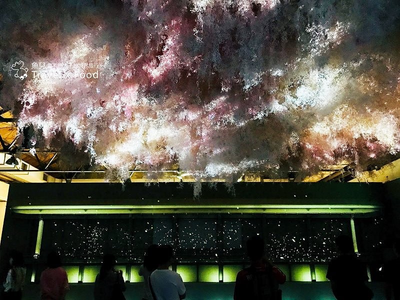 【展】TOKYO ART CITY 光影東京~夢幻視覺系特展 @魚兒 x 牽手明太子的「視」界旅行