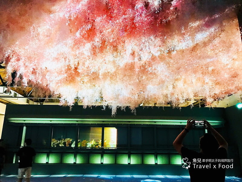 【展】TOKYO ART CITY 光影東京~夢幻視覺系特展 @魚兒 x 牽手明太子的「視」界旅行