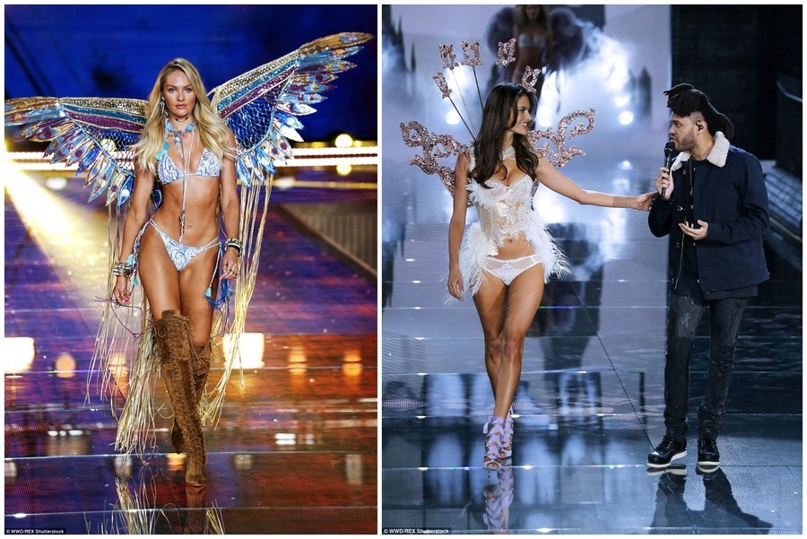 30939_1295485_564026 30939_1295485_564026