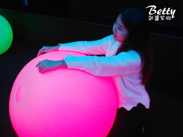 20170305舞動展 (30).jpg