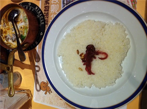 白飯 - 內湖區的魔法咖哩)