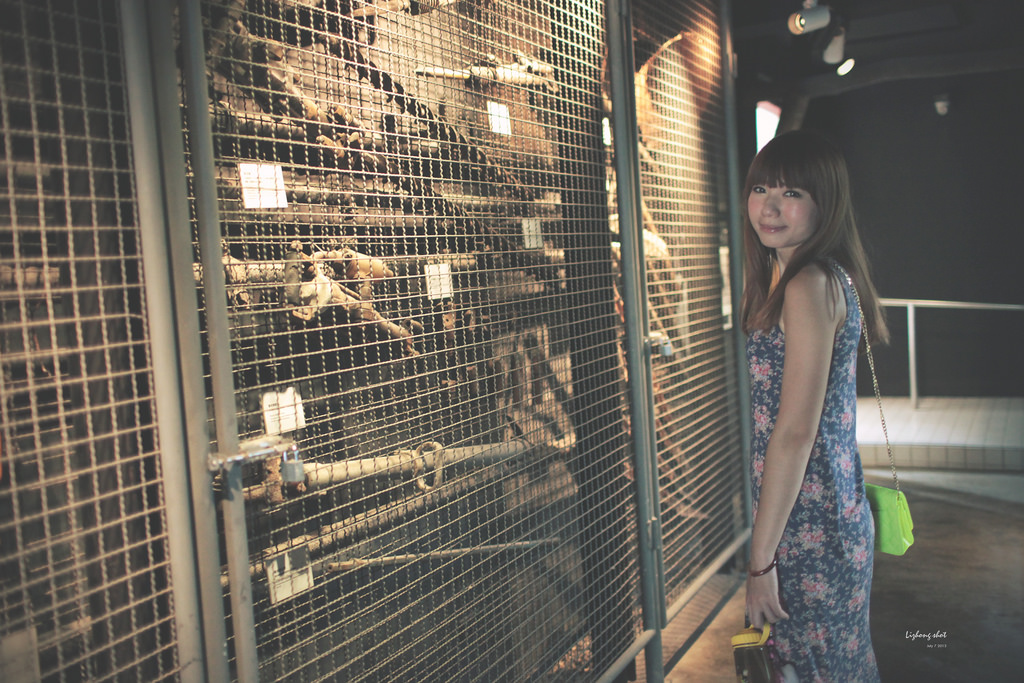 瑞三本礦的悠游日記 瑞三本礦的悠游日記