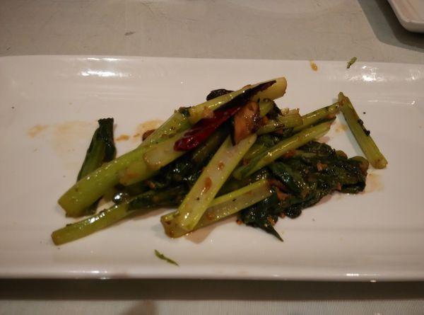 IMG_20160209_131400.jpg IMG_20160209_131400.jpg