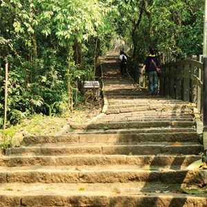 窩客島推薦→象山自然步道