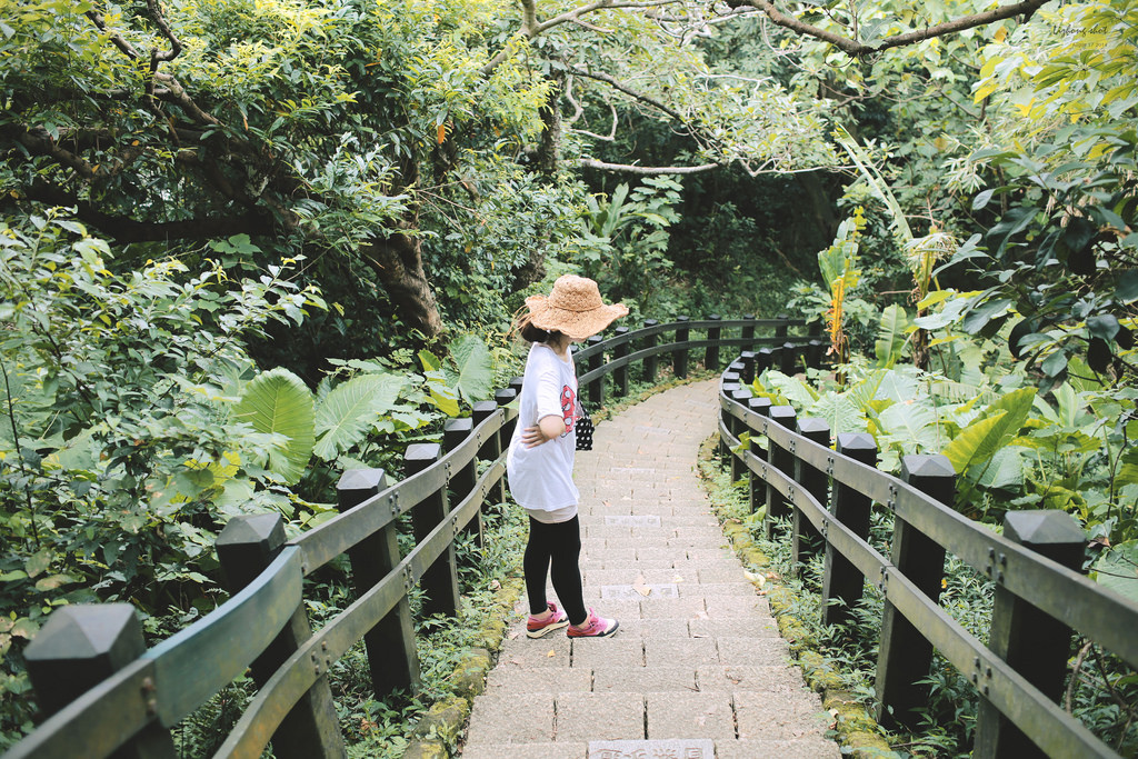 永春崗公園的象山散策 永春崗公園的象山散策