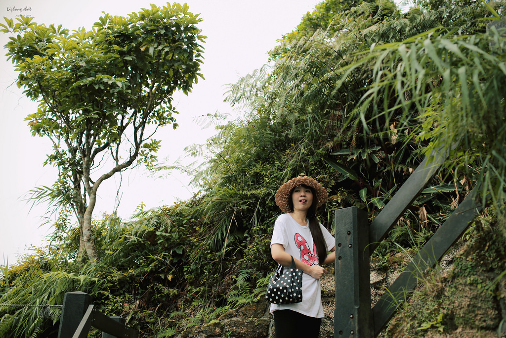 永春崗公園的象山散策 永春崗公園的象山散策